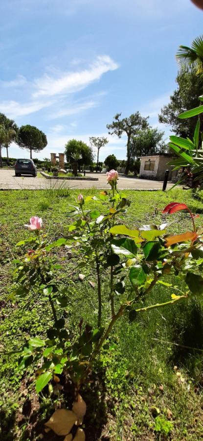 Masseria San Nicola B&B 토레 산타 수잔나 외부 사진
